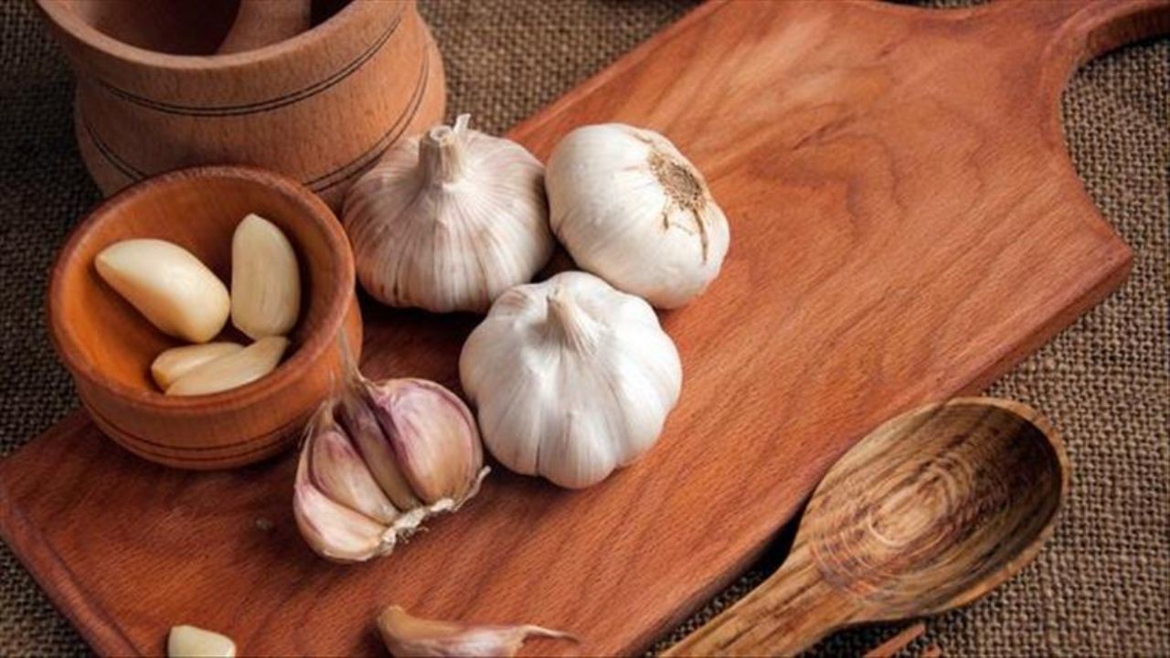 Kokusunu dert etmeyin, çiğneyin: Antiparazitik, antibakteriyel, antimikotik, antiviral, antikanserojen ve antioksidan kaynağı