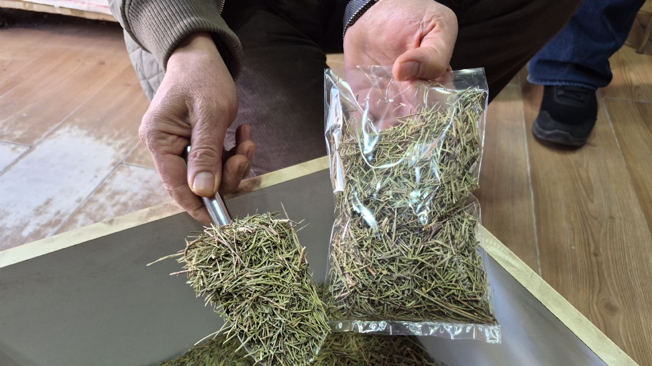 Öğrencilere dikkat dağınıklığı için bitkisel ürün tavsiyesi