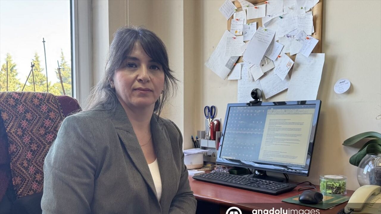 Şekerli gıdalar sağlığınızı bozabilir!  Bayramda tatlı tüketimine dikkat!