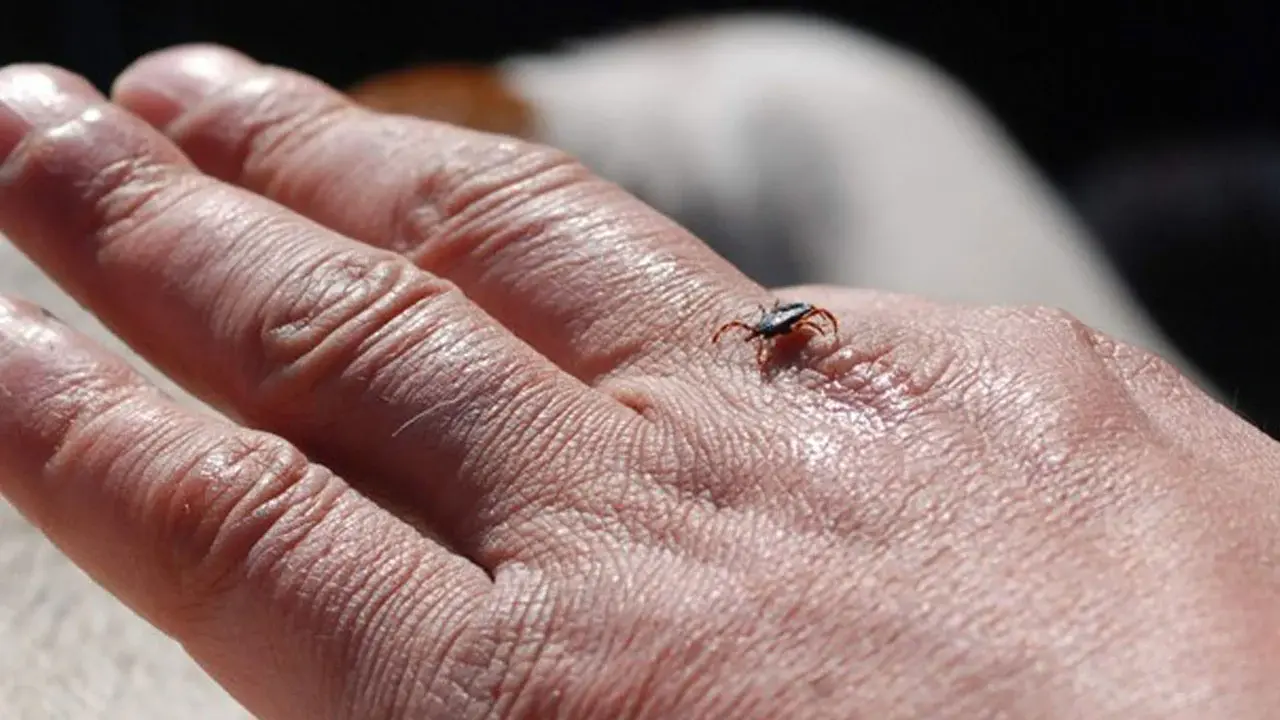 Temmuz ve ağustos ölümcül olabilir! KKKA'ya karşı kritik uyarı