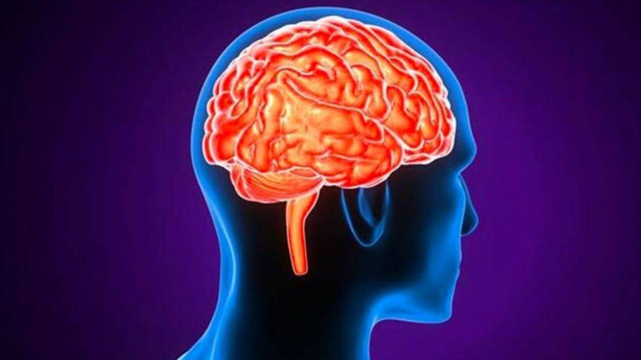 Timetürk yazarı kaleme aldı: Monotropik zihin: Tek bir dünyaya kilitlenen beyin