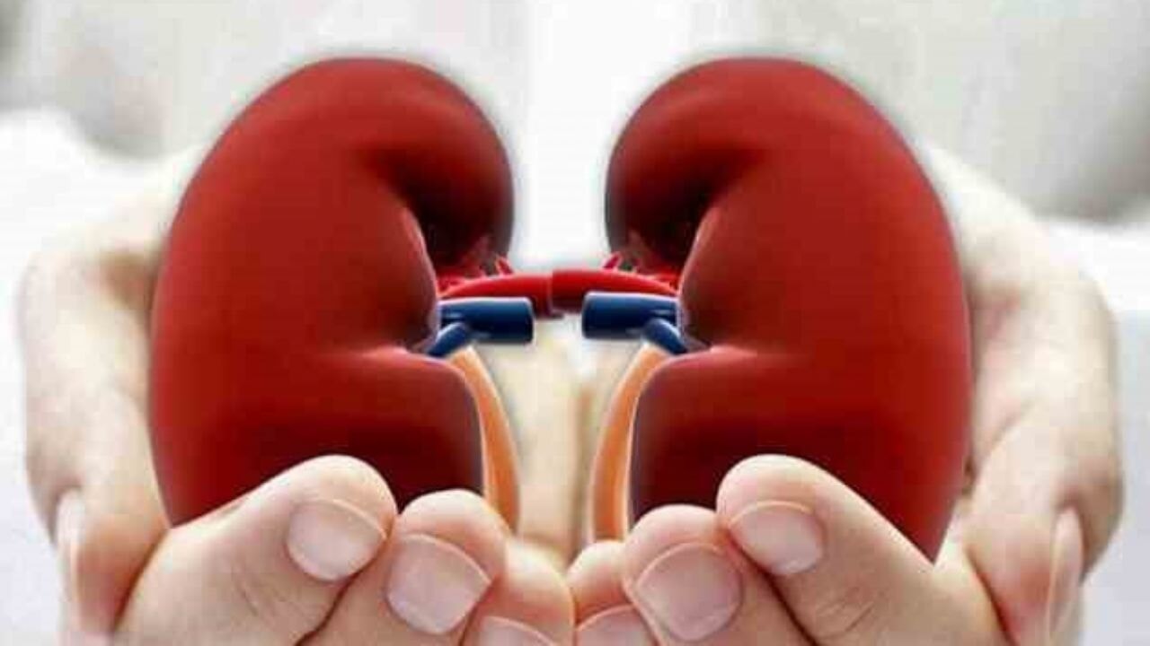 Türkiye'de 72 bin diyaliz hastası bulunuyor
