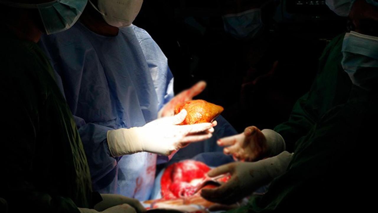 Her kan grubuna uyumlu 'evrensel böbrek' geliştirildi