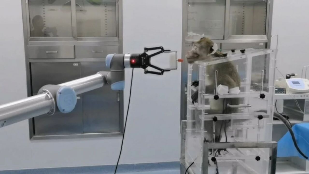 Maymun beyni gibi çalışan bilgisayar geliştirildi