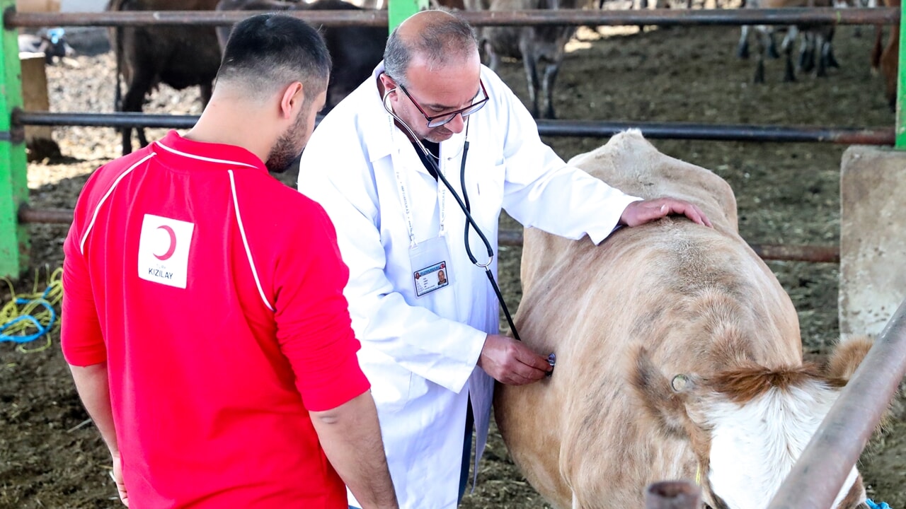 2025 Kurbanlık Fiyatları Açıklandı