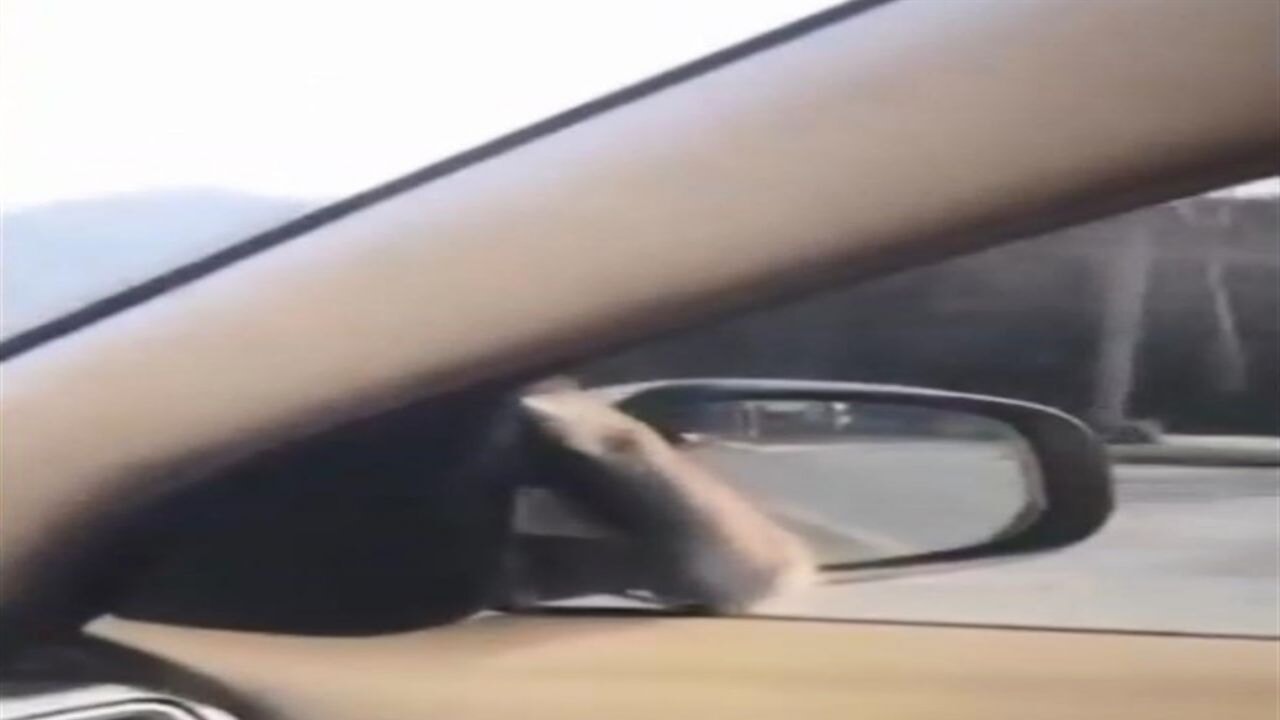 Araca fare atladı; polis çevirmesinde kaçtı