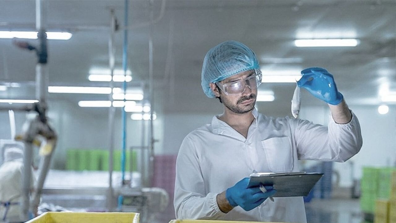 Balıkçılık Teknolojisinde Yeni Nesil Çözümler: Özka System'in Sektöre Katkısı