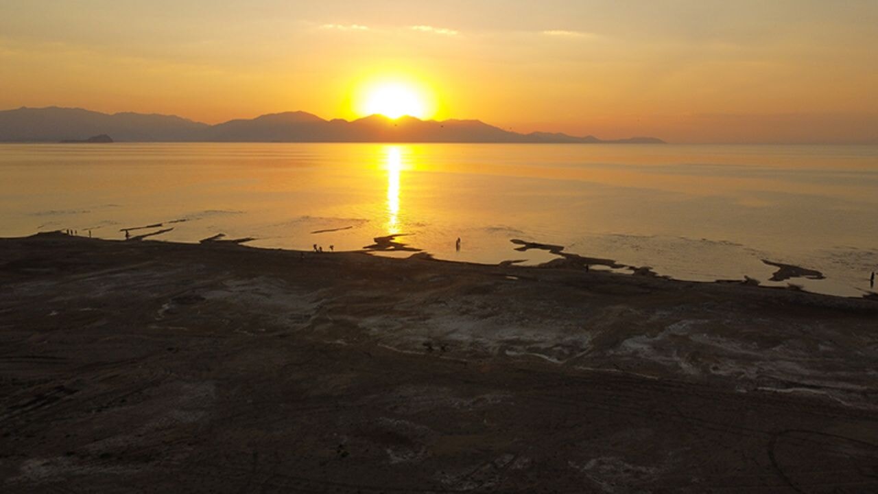 Cevapsız soru: Ocak ayı neden bu kadar sıcak oldu?