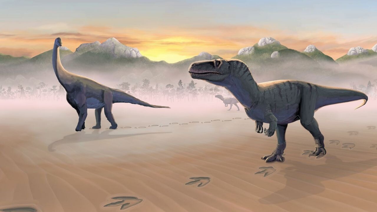 Dinozorlarla ilgili yeni keşif: Sürü halinde yaşıyorlarmış