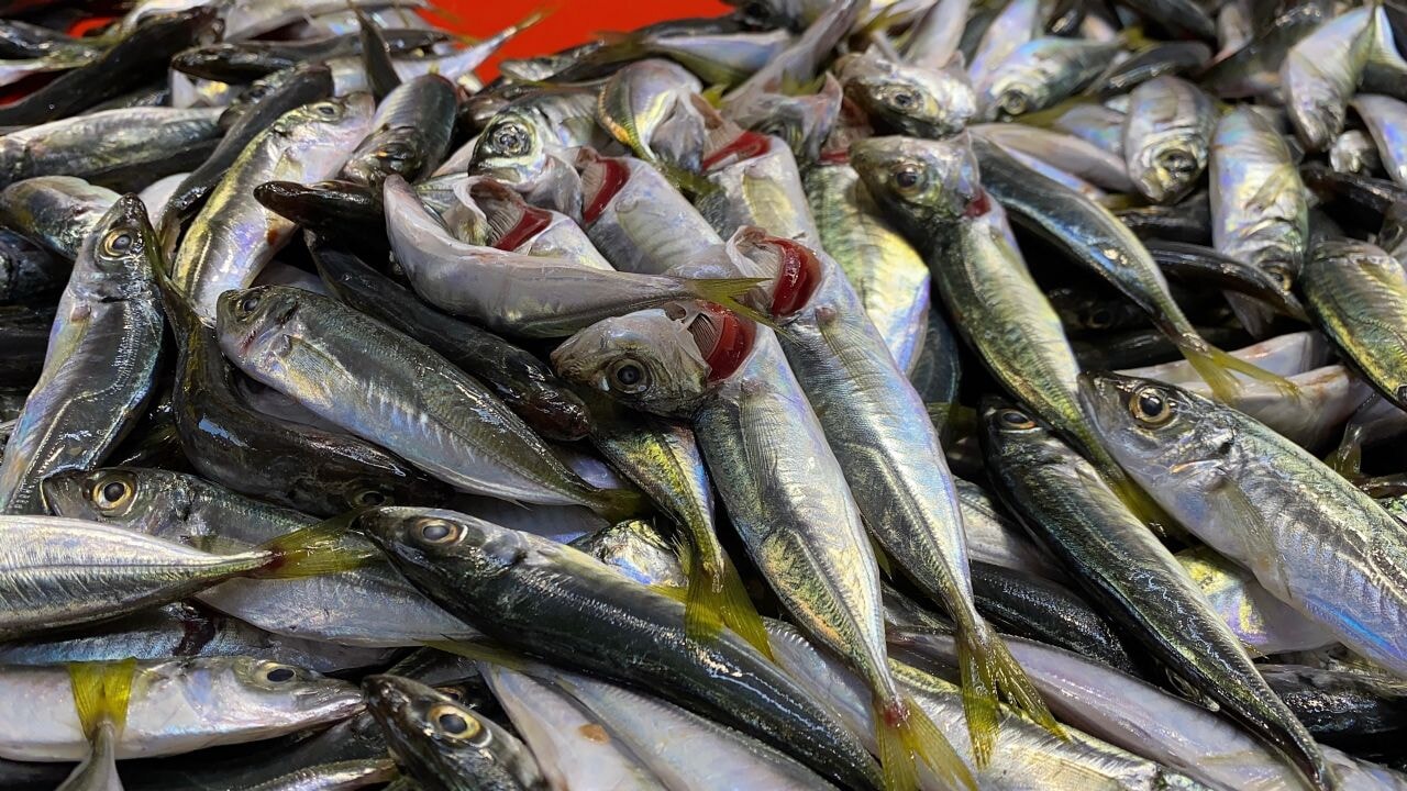 Doğru bilinen yanlışı uzmanı açıkladı: 'Gözüne bakıp tazeliğini anlarım diyen yalan söyler'