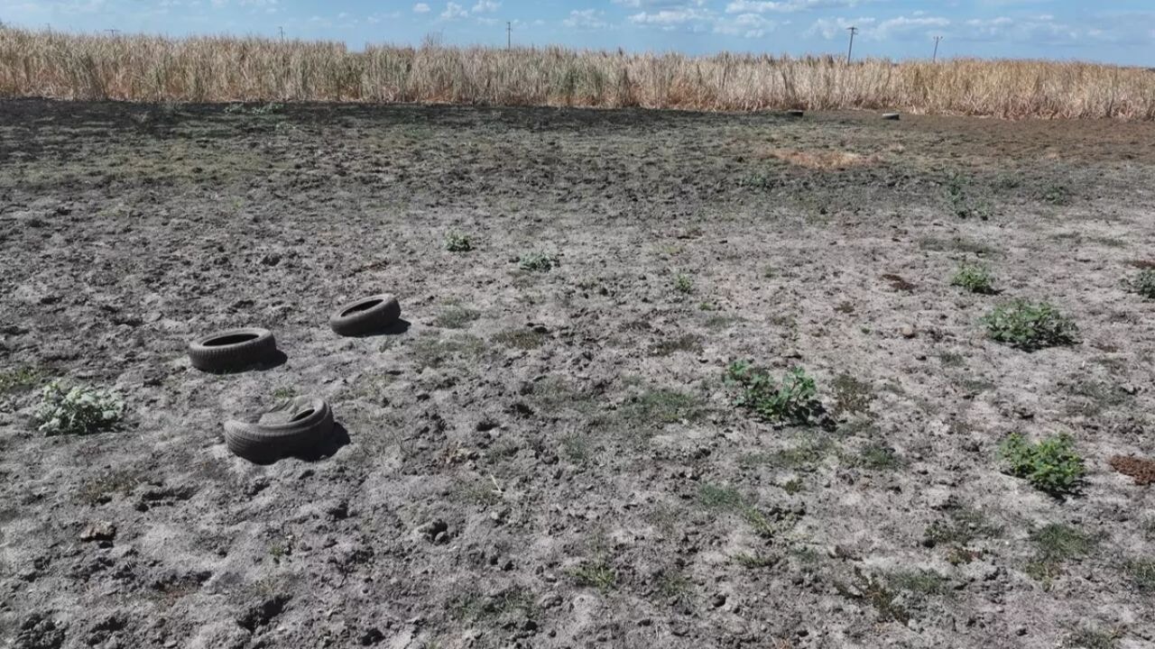 Edirne'de göletler kuruyor, Tunca Nehri'nin akışı durdu