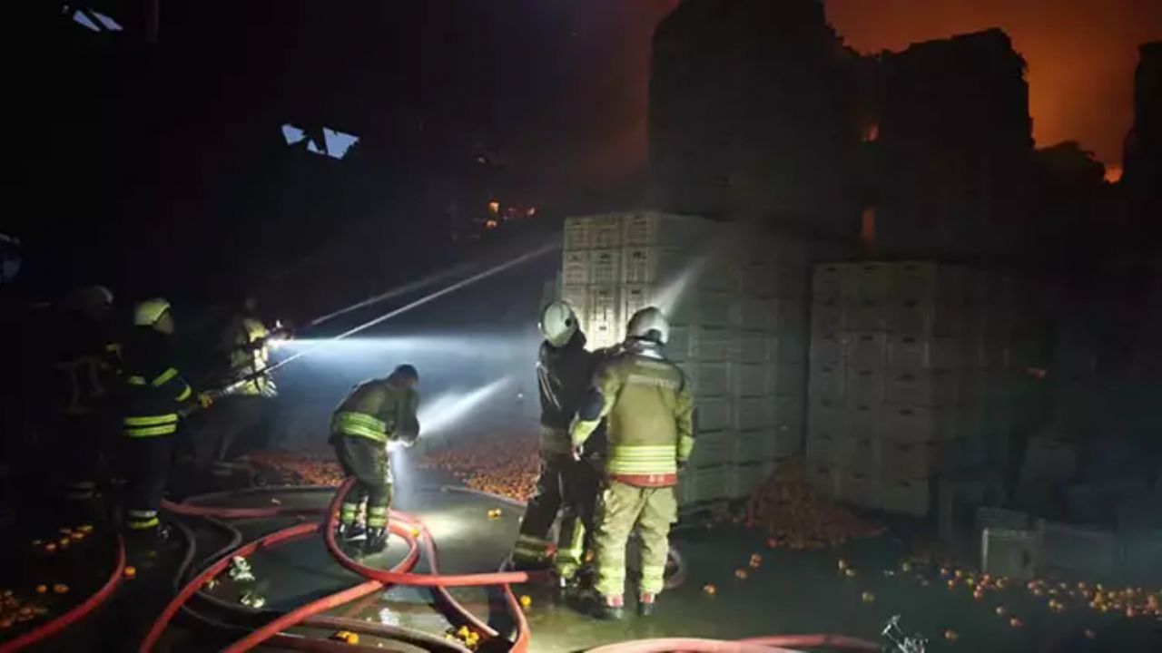 Hatay'da yangın felaketi