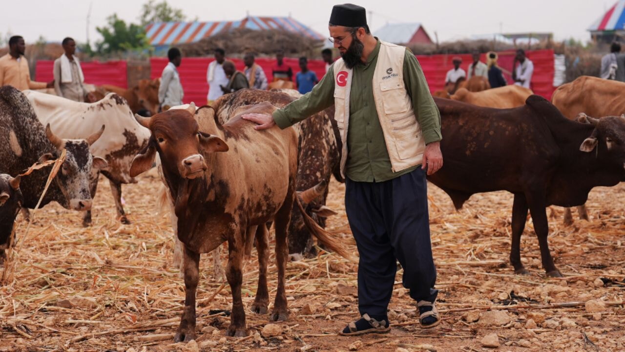 İyilik Yolu'nda Kesilen Her Kurban, Bir Sofrada Umuda Dönüşüyor