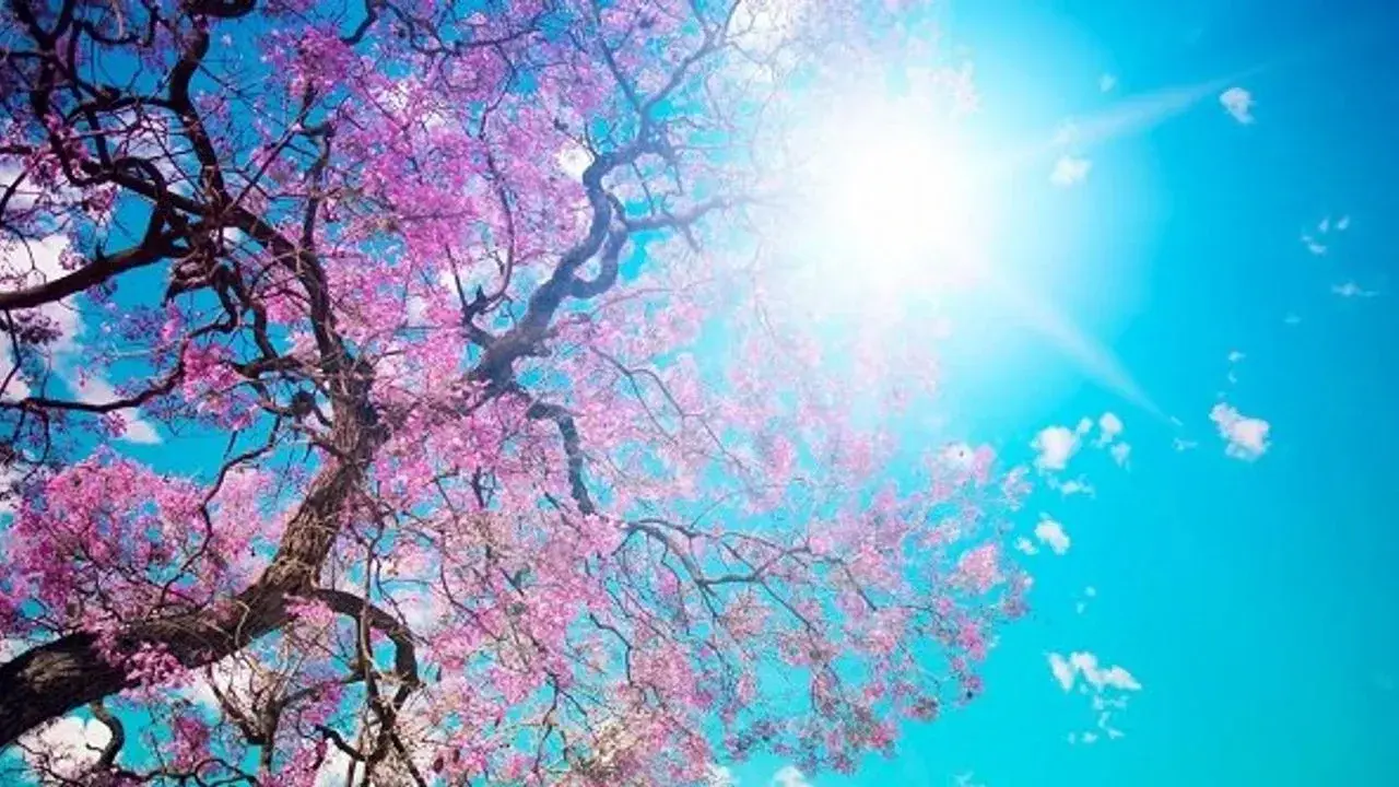 Kar, yağmur derken bahar geri dönüyor!