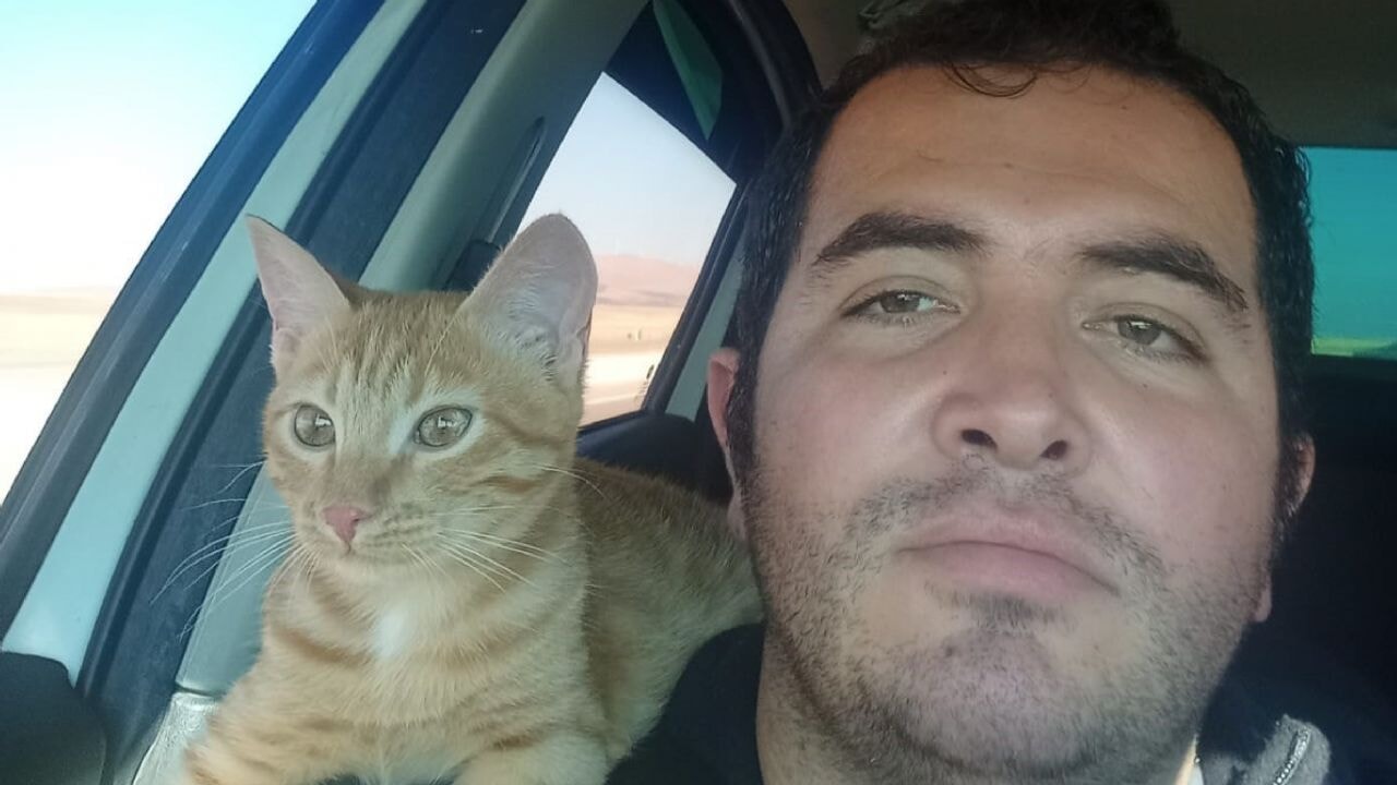 Kayıp kedisini bulana 10 bin TL verecek