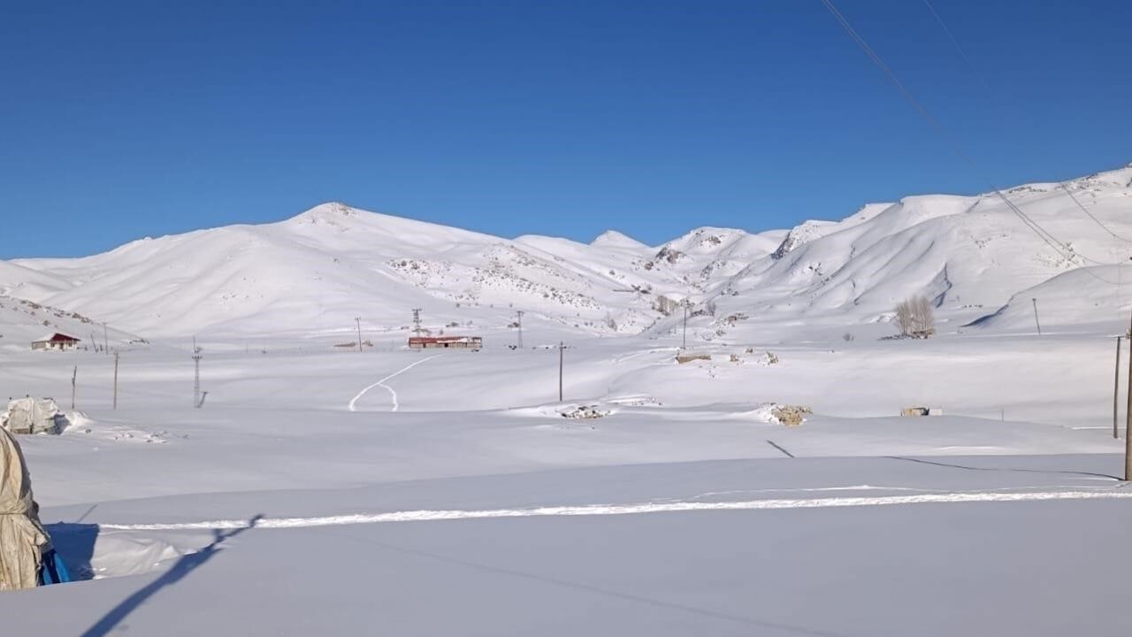 Koyunları için 1 metre karın altında kaldılar