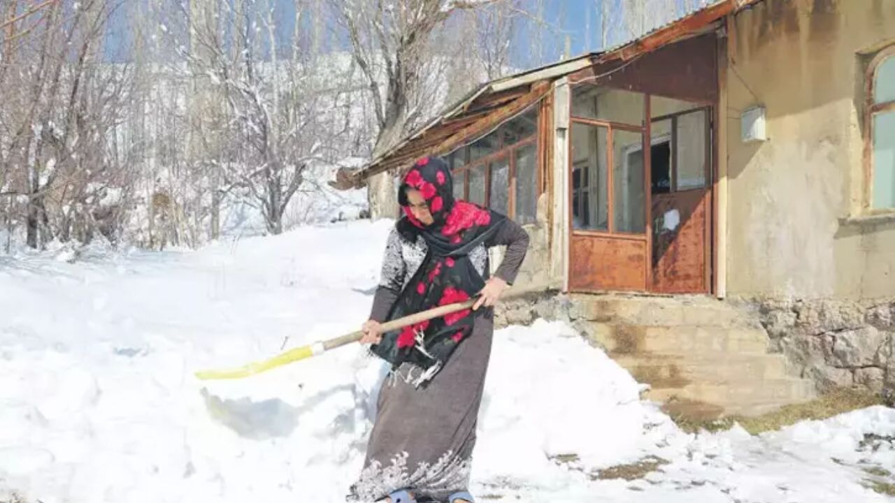 Mezrada tek başına: 4 Aydır kurt korkusu içinde açlıkla mücadele ediyor