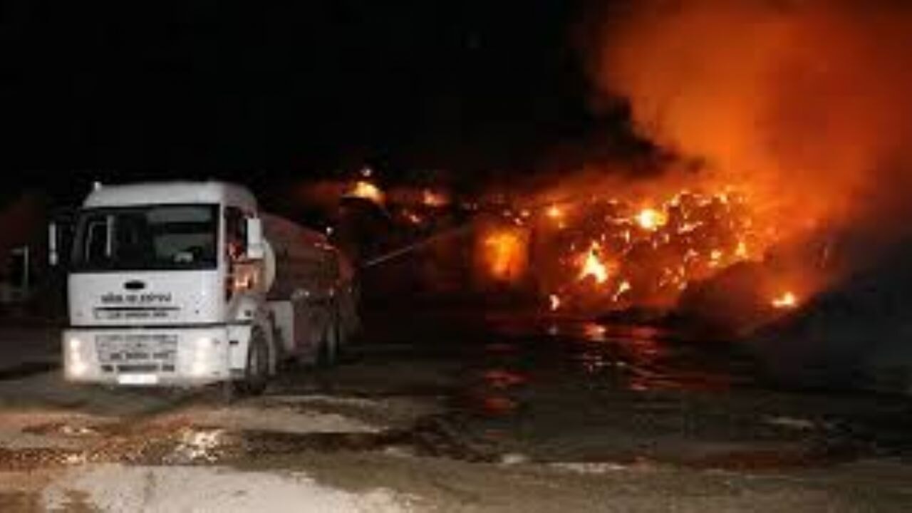 Niğde'de korkunç yangın!  Ahırındaki 170 koyun telef oldu