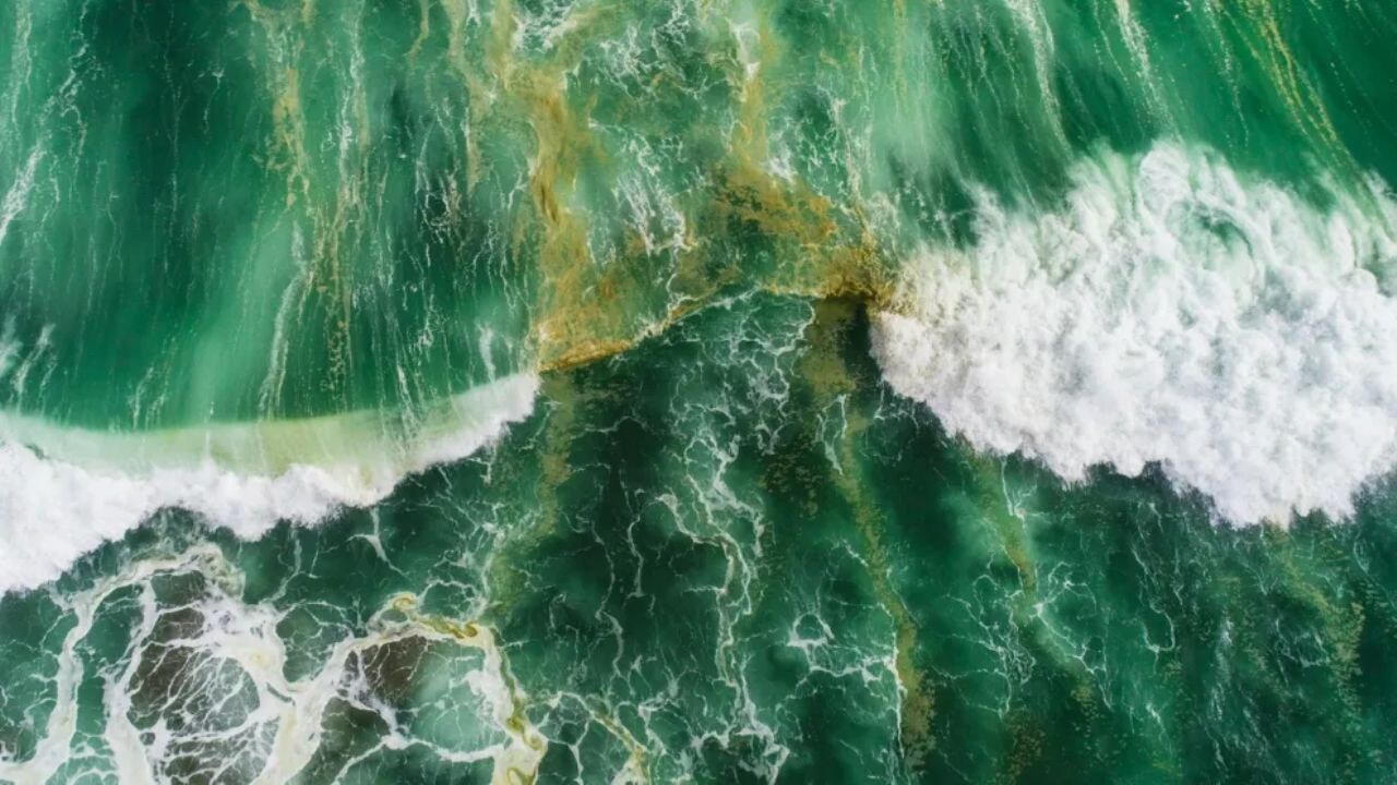 Okyanuslar bir zamanlar yeşildi, nasıl mavi oldu?