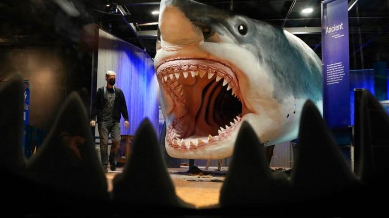 Tarihin en büyük yırtıcısı 'okyanus devi' çıktı