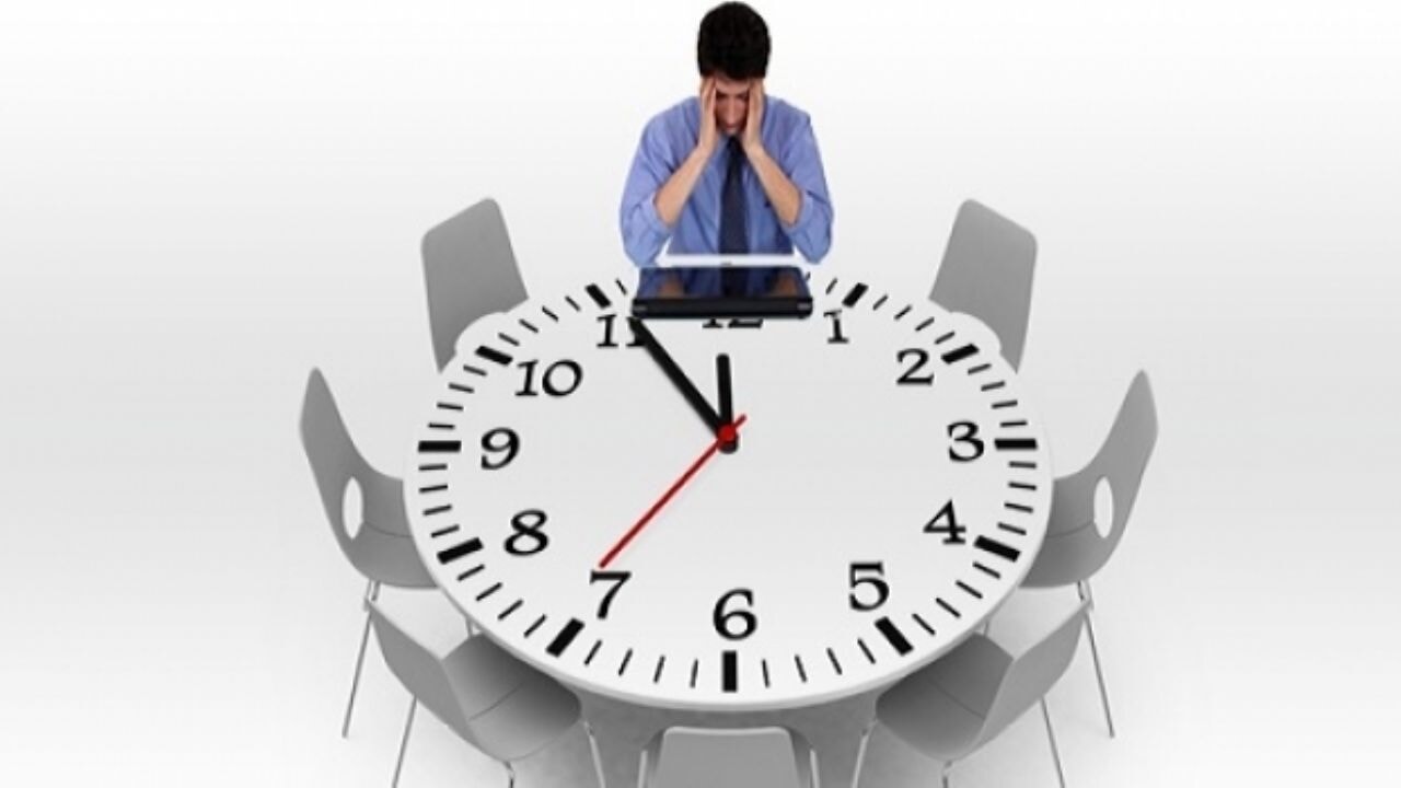 Zaman algısı türlere göre nasıl değişir? İnsan, köpek, fare ve sineklerde zaman kavramı